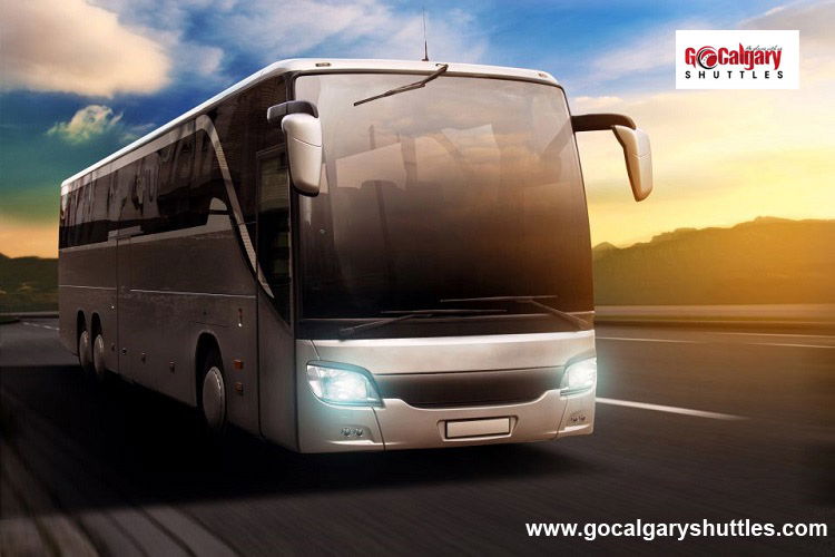 Luxury Tour Bus Rental