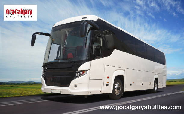 Affordable Charter Bus Rentals