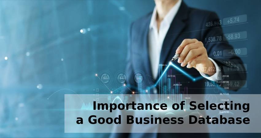 Importance of Selecting a Good Business Database