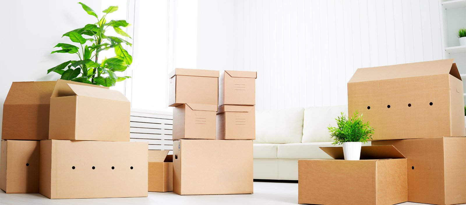 Thane Packers and Movers