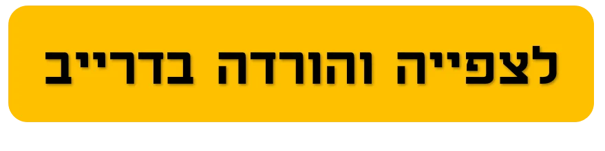 פרק 12: