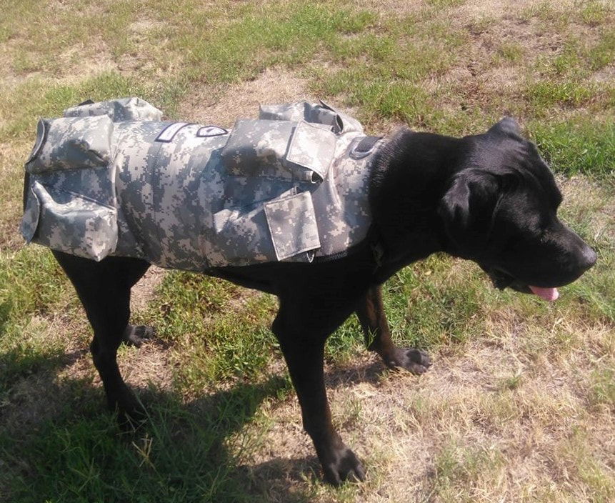 dog weight harness