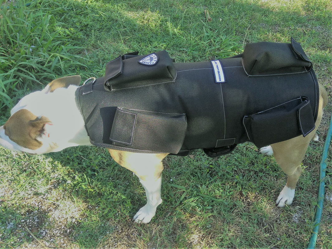 weighted dog vest 