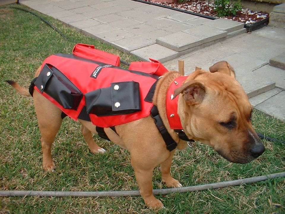 service dog weight vest