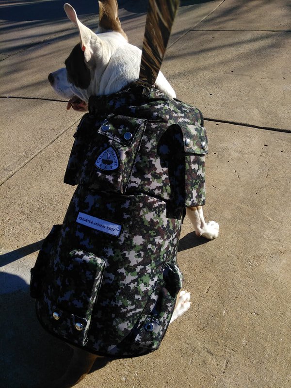 Small Dog Weight Vest