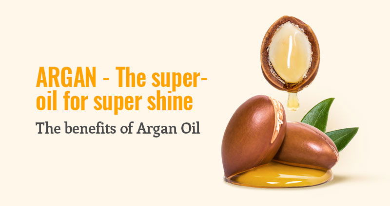 serum Argan Oil | Argan Oil serum GK Hair