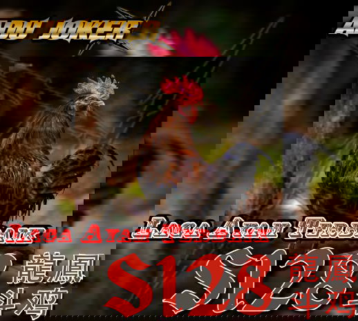 Laga Ayam S128apk