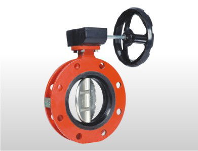 Double Flange Butterfly Valve