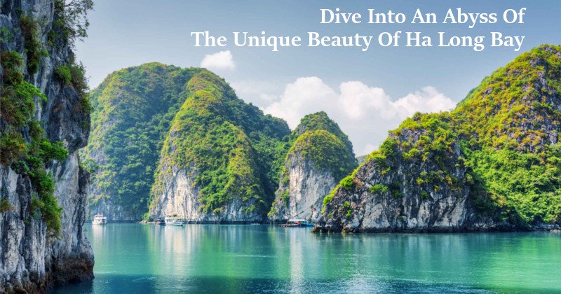 Dive Into The Unique Beauty Of Ha Long Bay