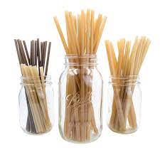 Sugarcane Straws