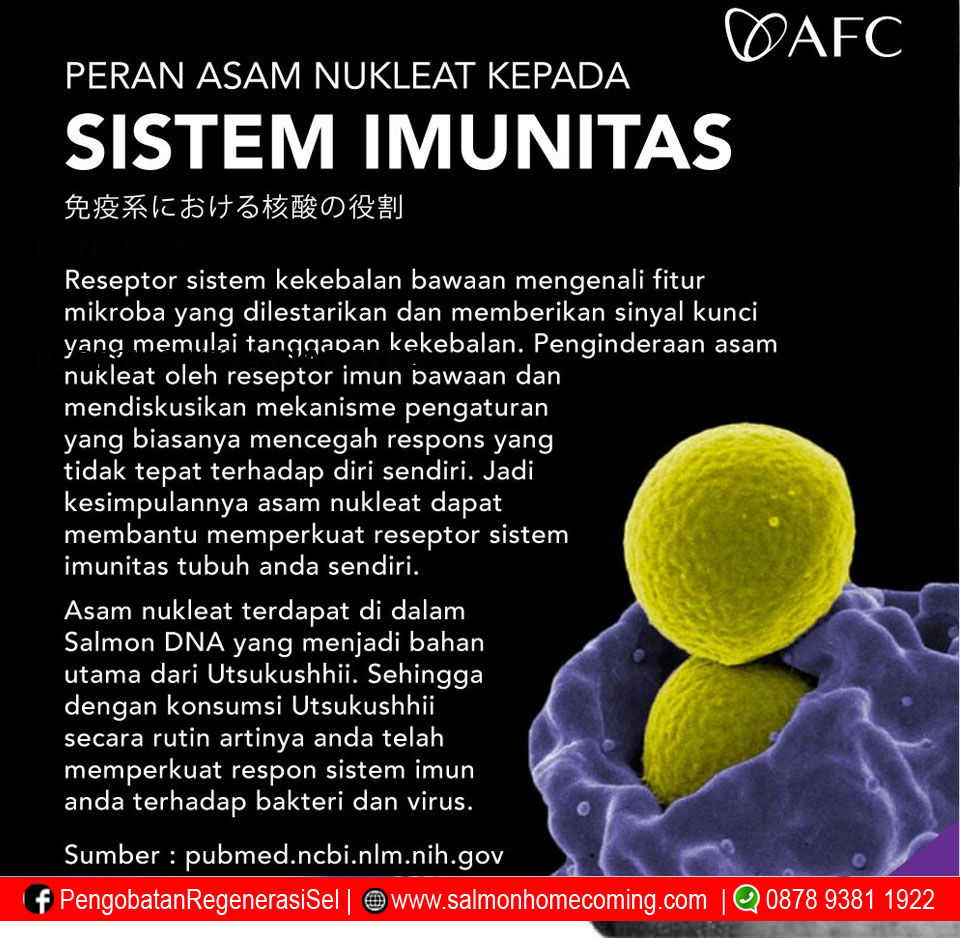 makanan untuk penderita covid agar cepat sembuh