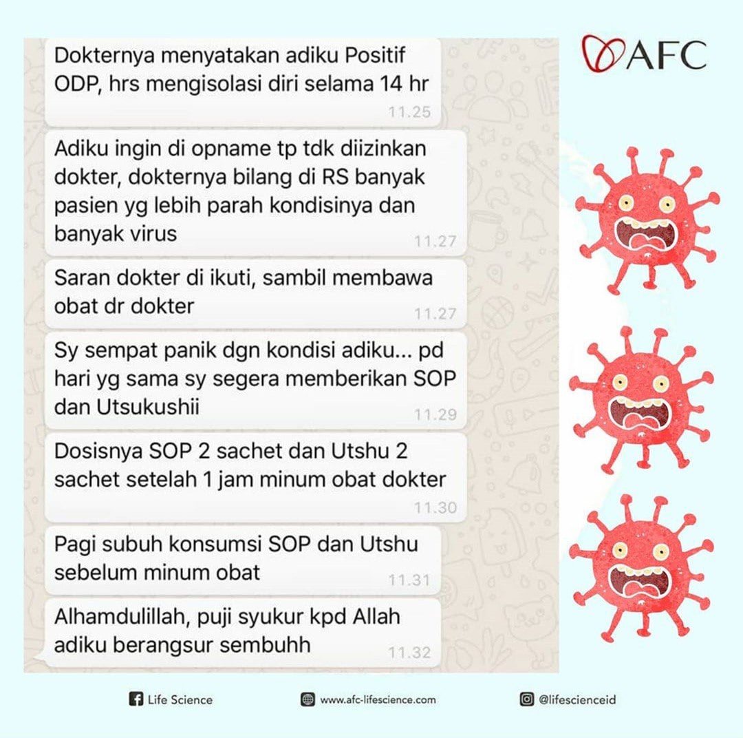 testimoni utsukushhii
