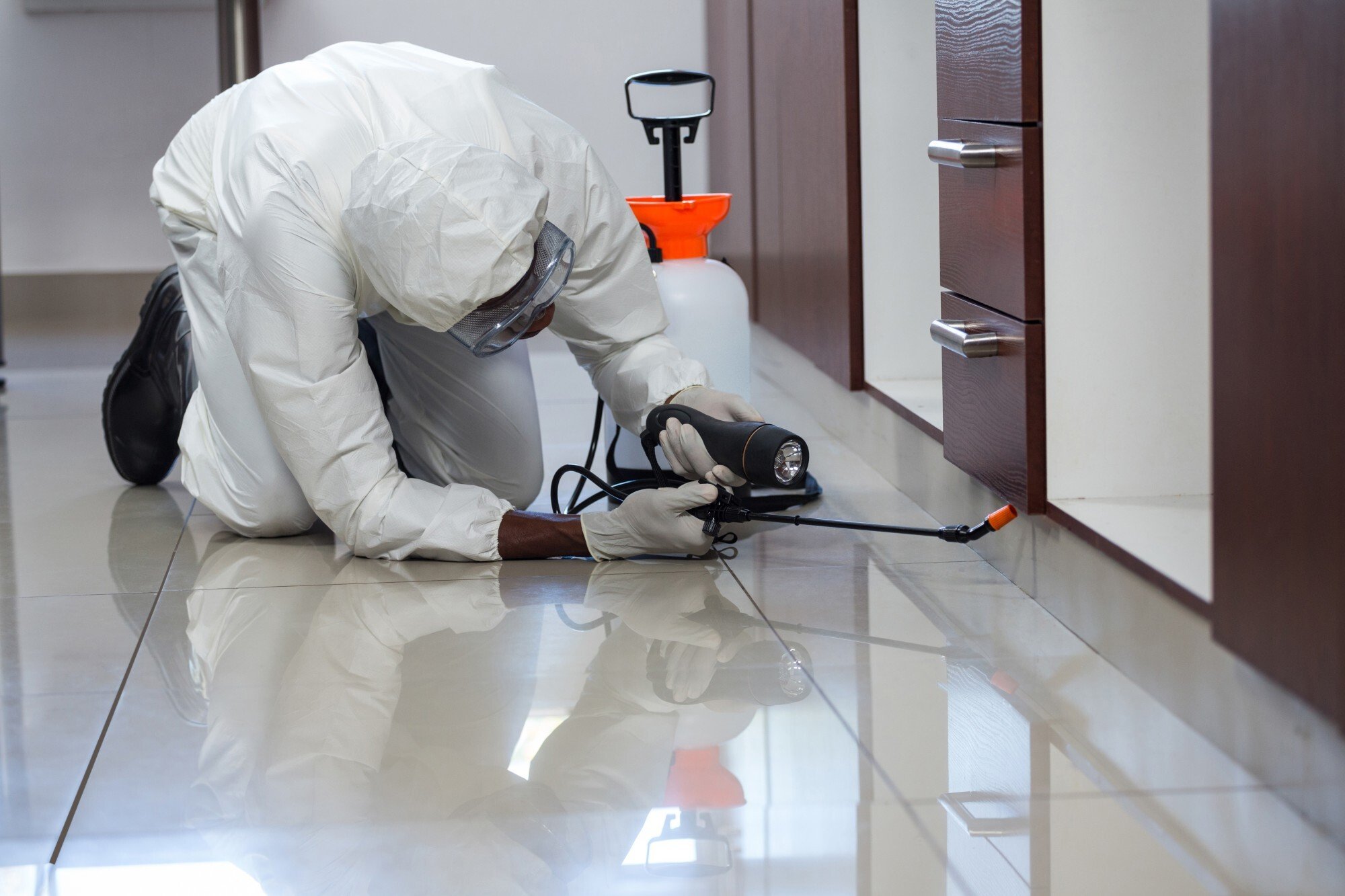 Tips To Note When Selecting the Best Pest Control Company - Exterminator