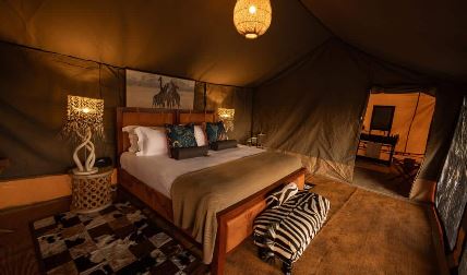 luxury safari tour Tanzania