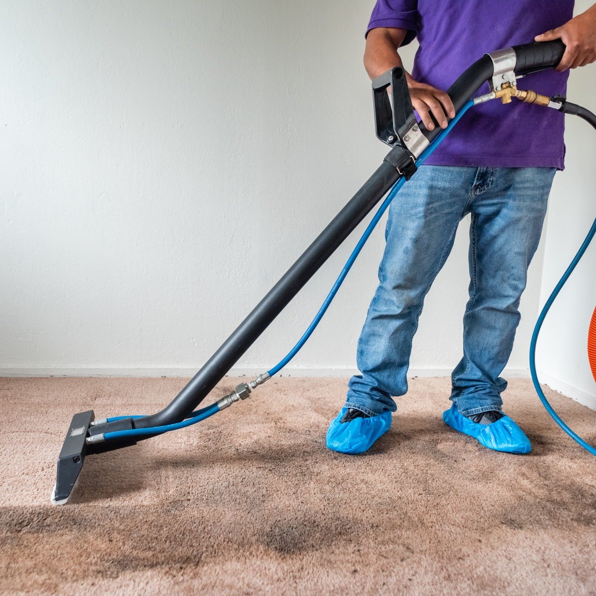 carpet cleaning services Alameda