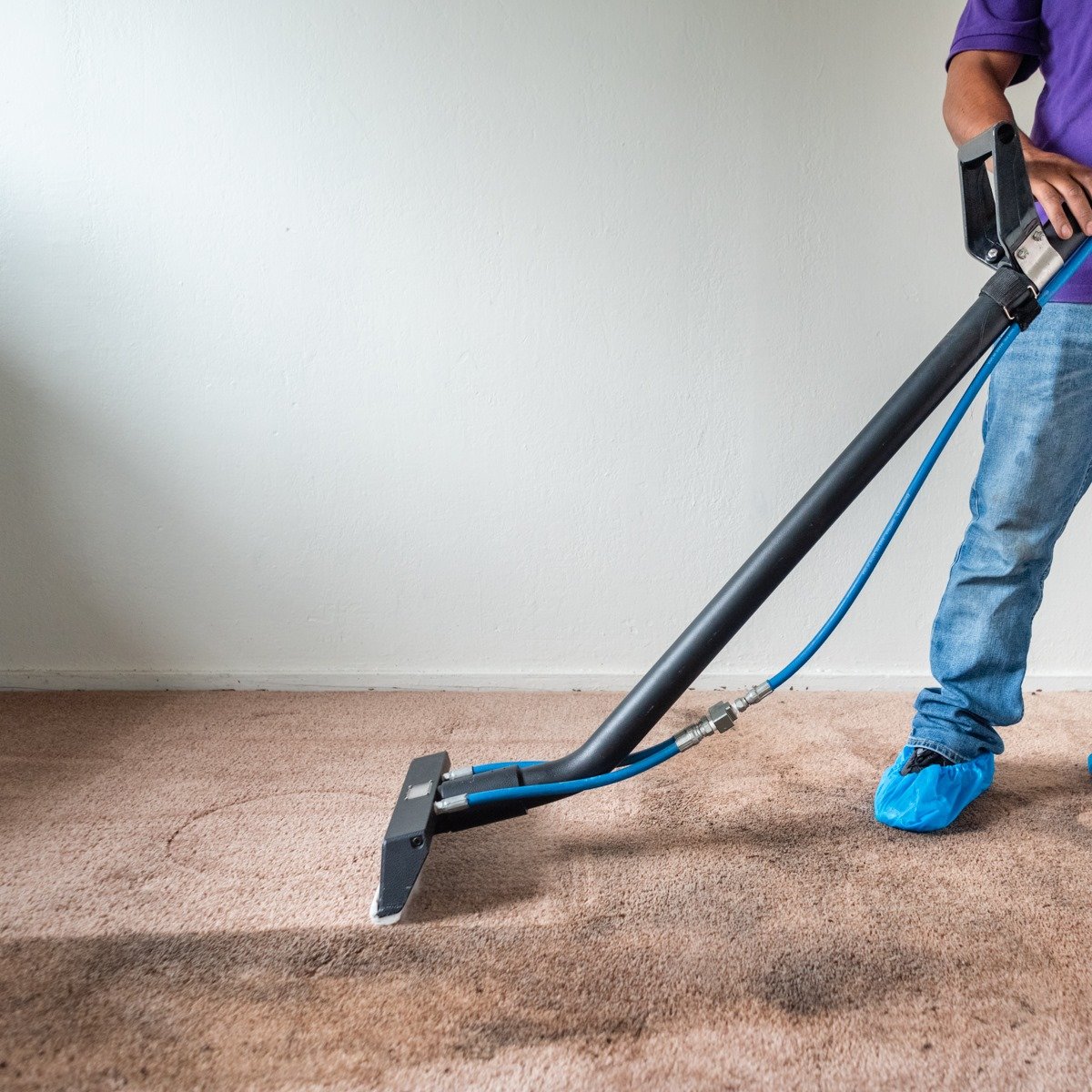 Residential Carpet Cleaning Services Berkeley
