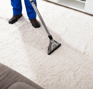  Residential Carpet Cleaning Alameda CA