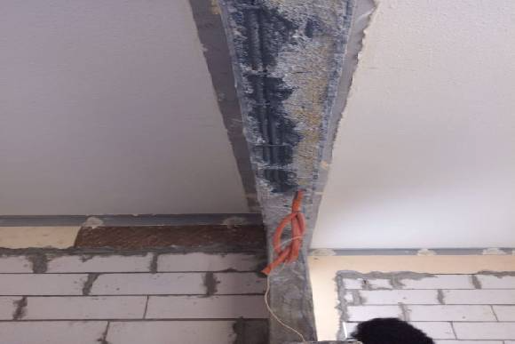 شركات معالجة التعشيش بالرياض