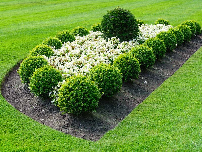 What You Need To Understand About Landscape Design Solutions Root Landscaping