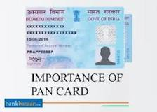 Image result for WHAT IS PAN