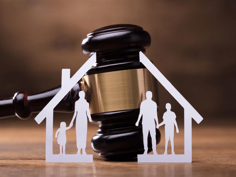 best family lawyer in Auckland