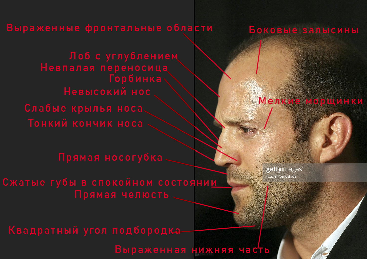 Физиогномика. Физиогномика лоб. Широкая переносица физиогномика. Физиогномика актера.