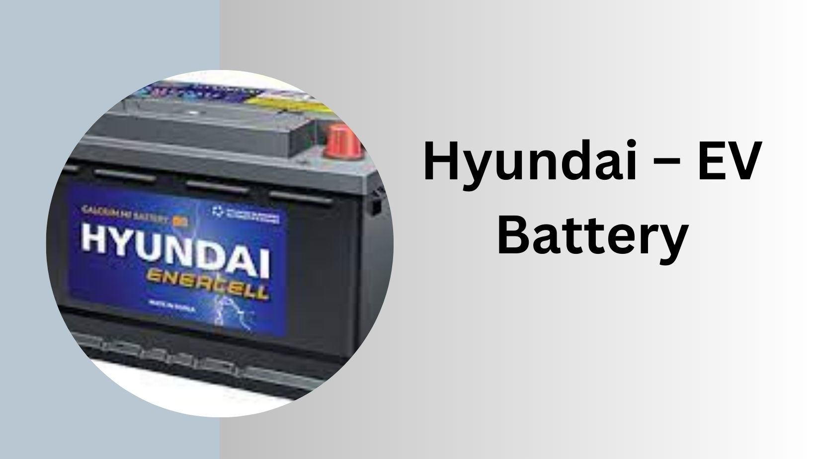 top 10 lithium ion battery manufacturer in India