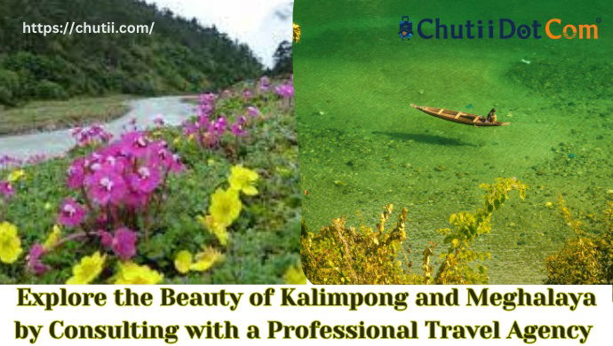 best travel agency in kolkata