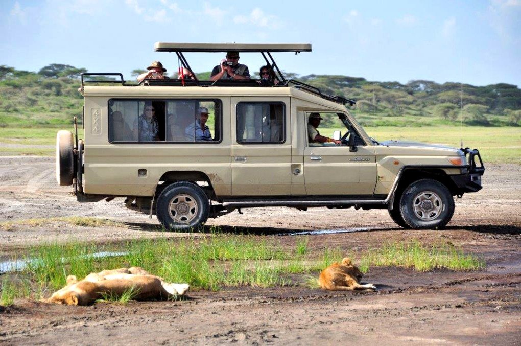 Budget Tanzania safari packages