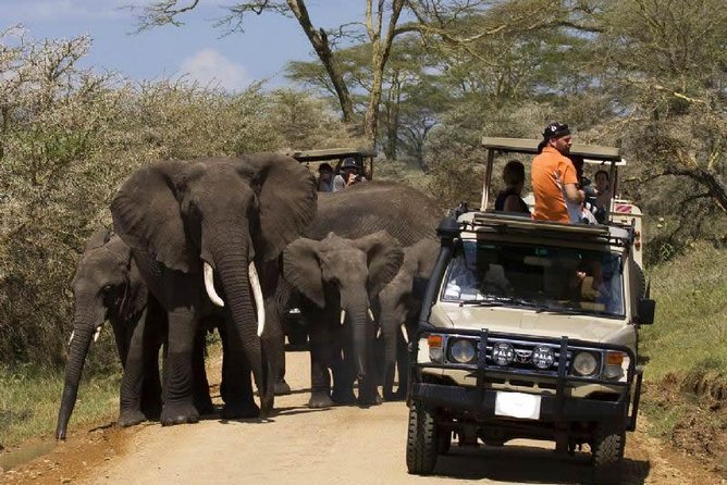 Best safari in Tanzania