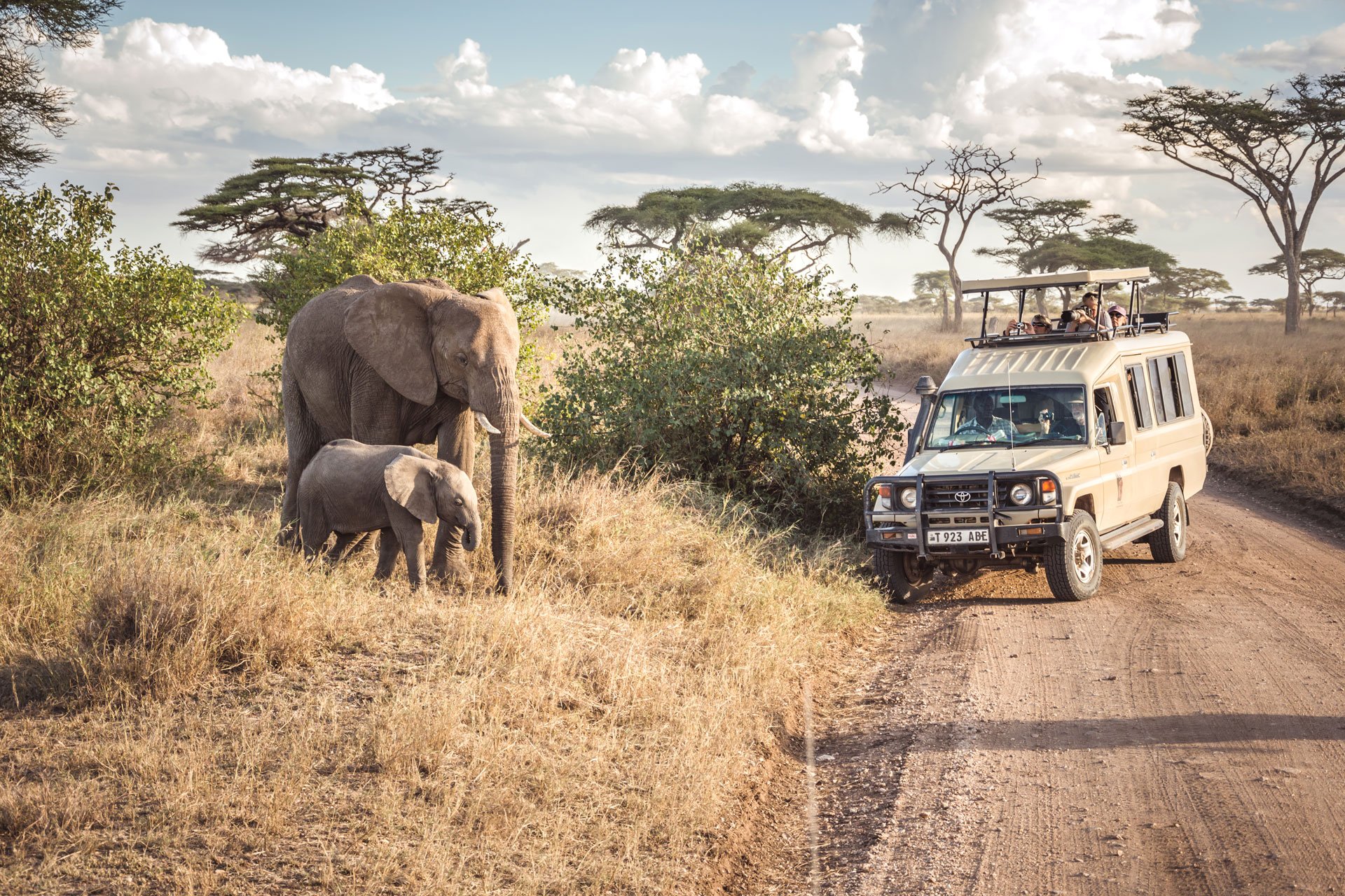 private guided safari tours Tanzania