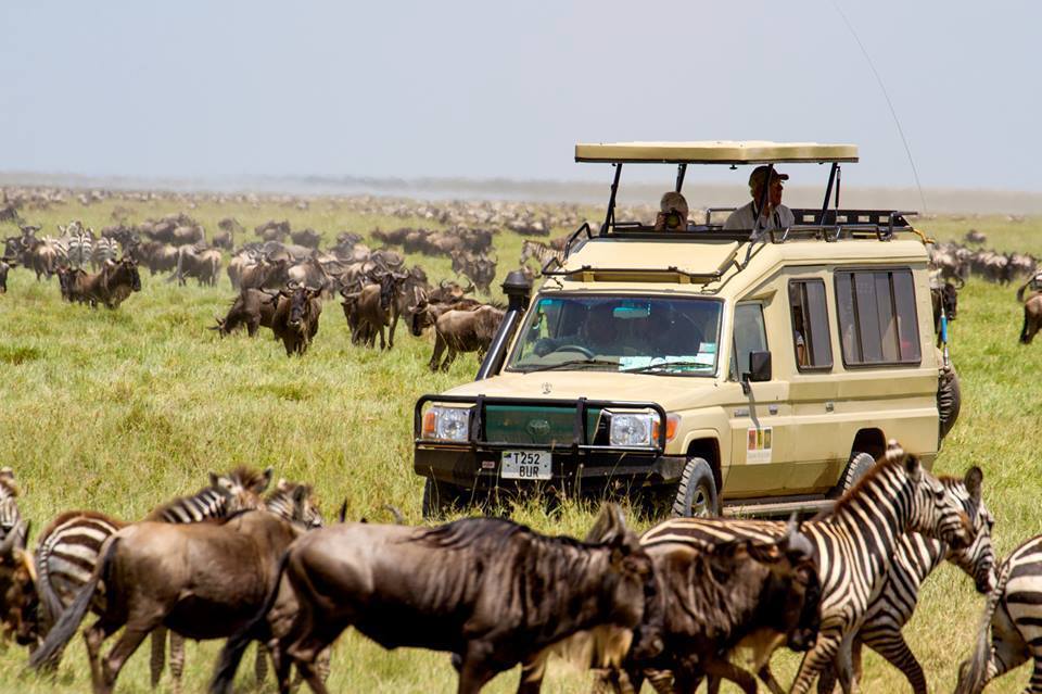 national park tour packages tanzania