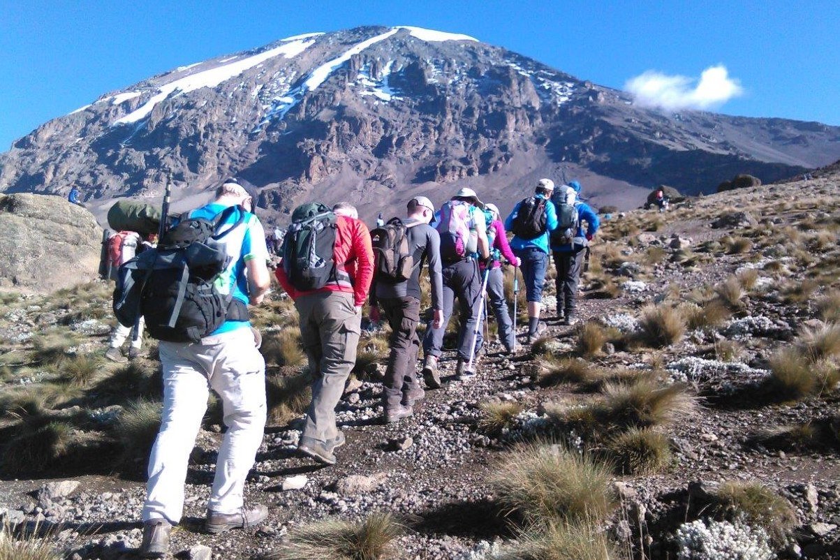 Affordable Kilimanjaro Trekking Tours 