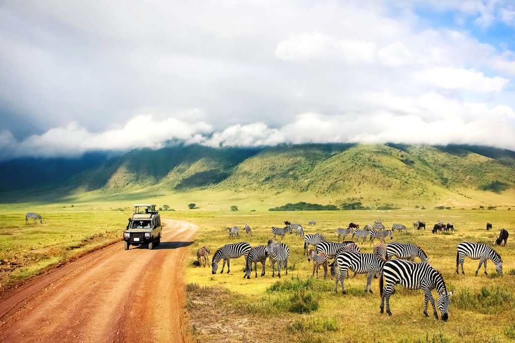 best Tanzania tour operators