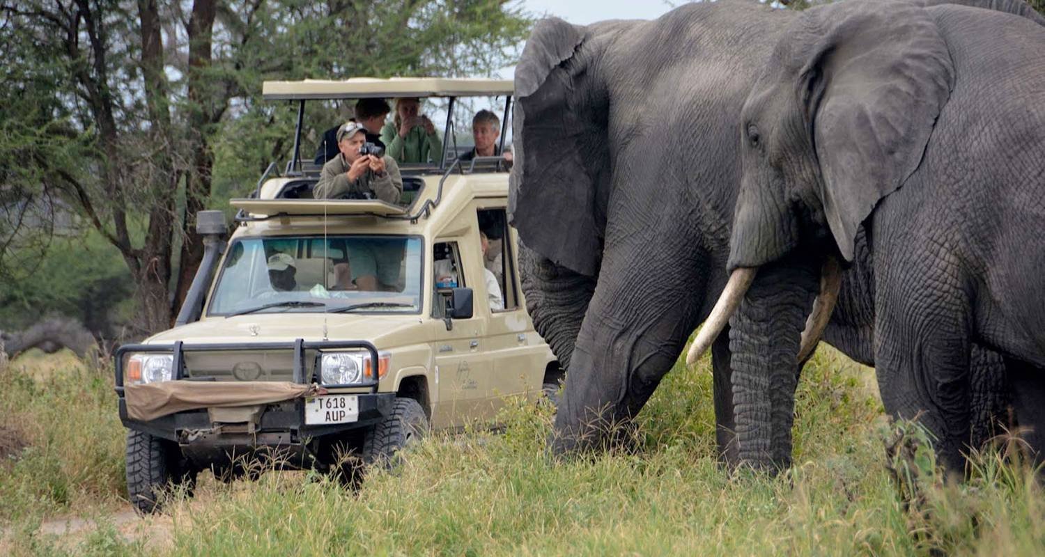 Tanzania Custom-made safari tours