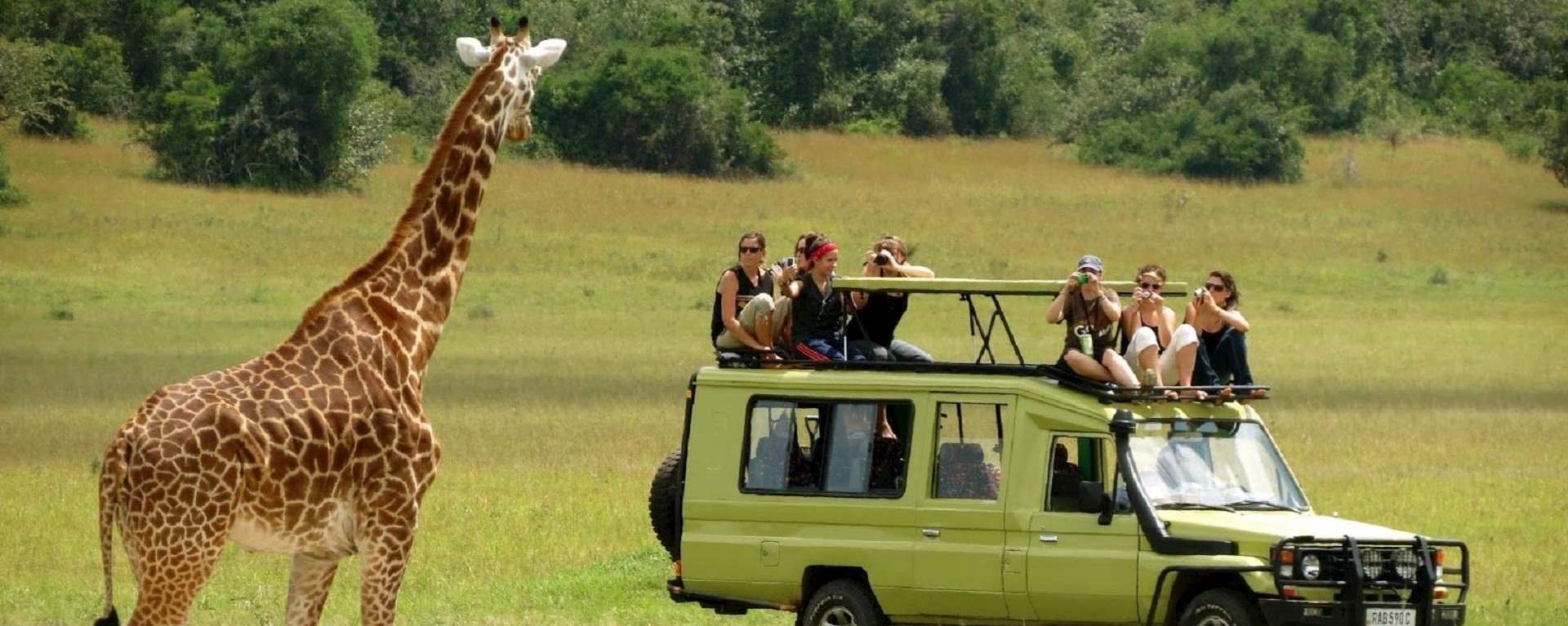 Tanzania Private Safari Packages