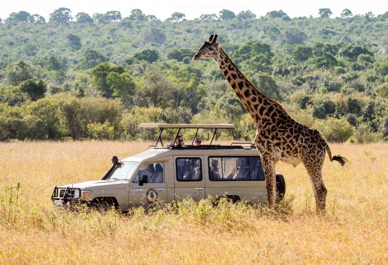 Tanzania Serengeti Safari Tours