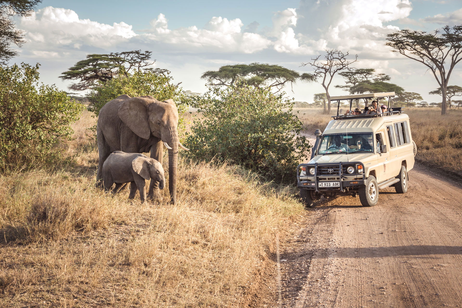 Tanzania Serengeti safari tours