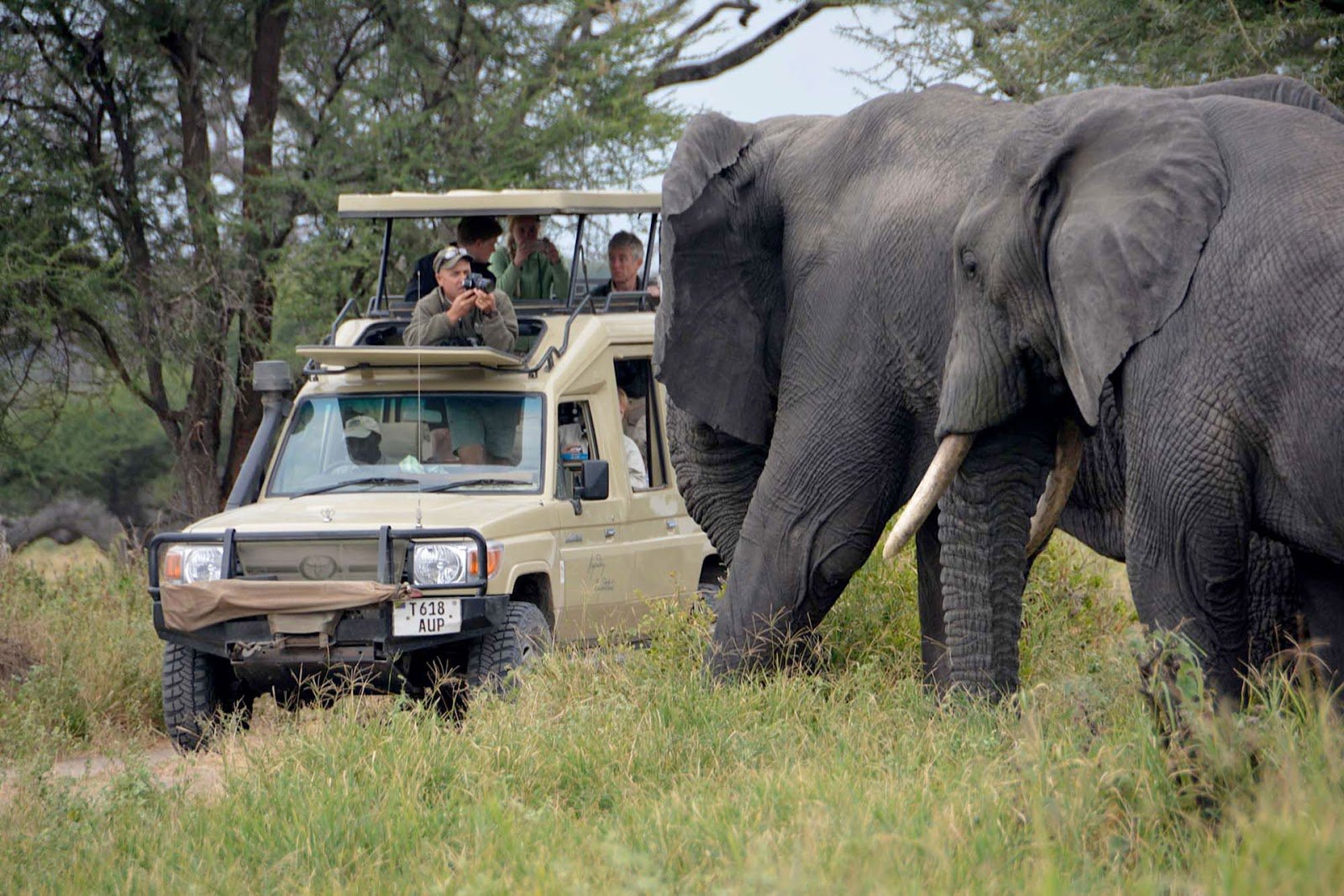 5 days Tanzania lodge safari