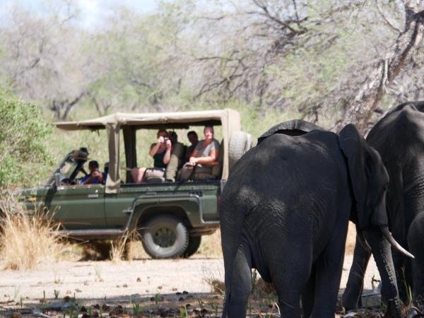 Tanzania custom-made safari tour