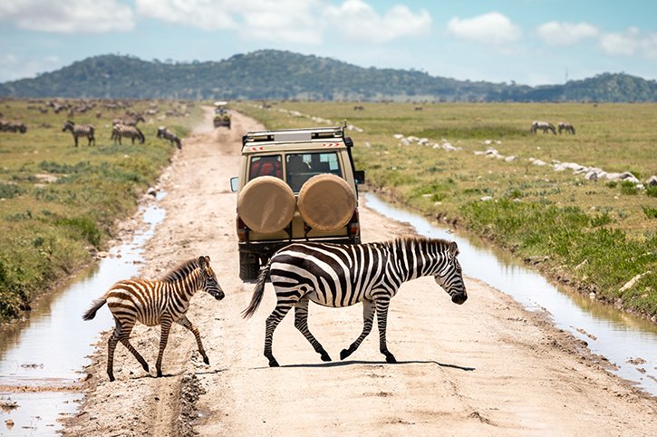 national park tour packages tanzania