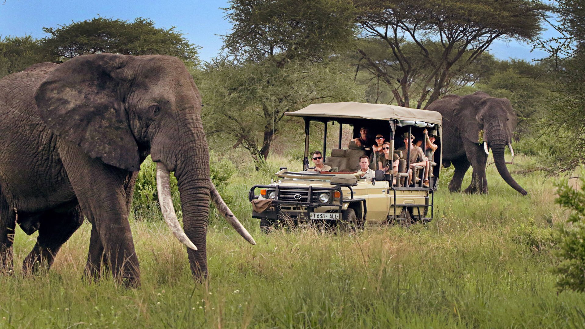 Budget Tanzania Safari Packages