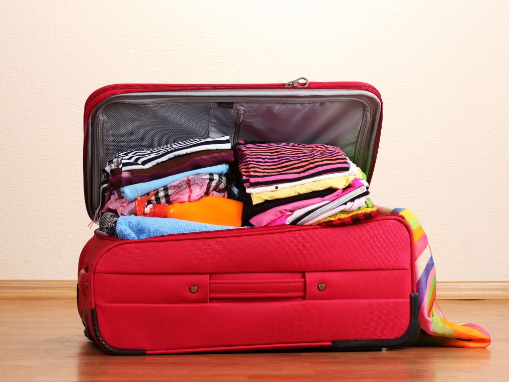 carry-on luggage