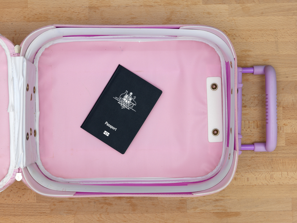 carry-on luggage