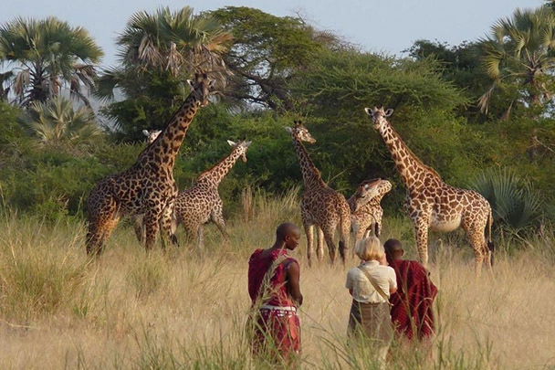 Walking safari in Tanzania Tarangire Park