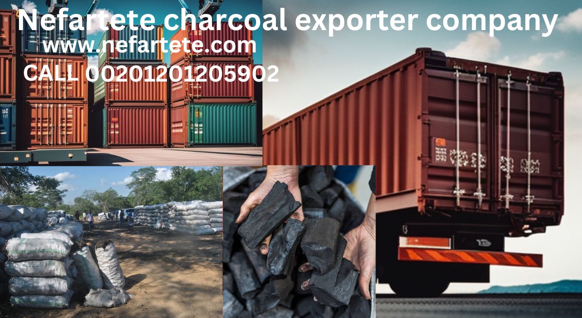 nefartete charcoal exporter