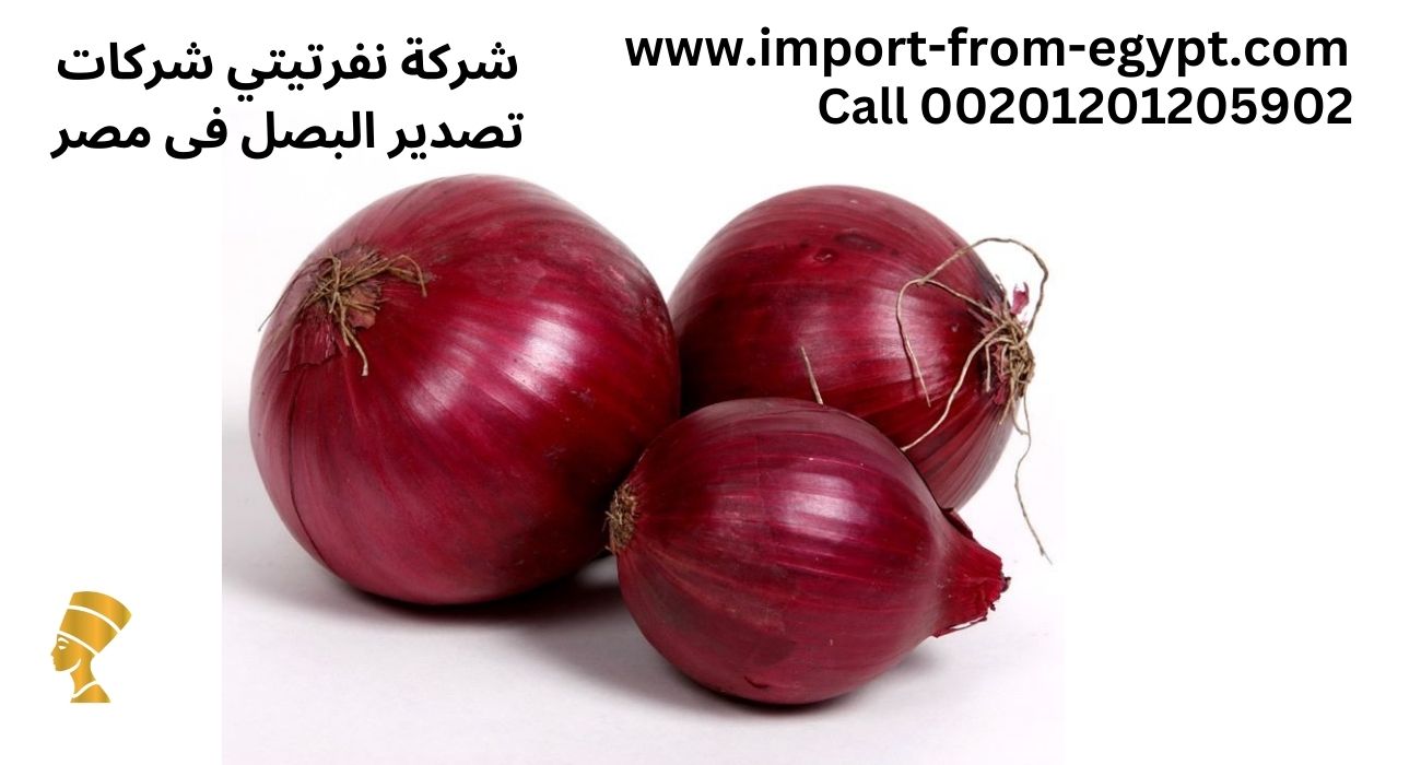 nefartete red onion exporter