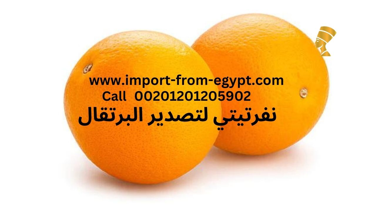 Nefartete orange exporter