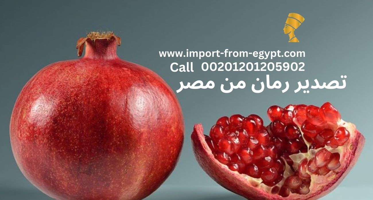 Nefartete pomegrante exporter