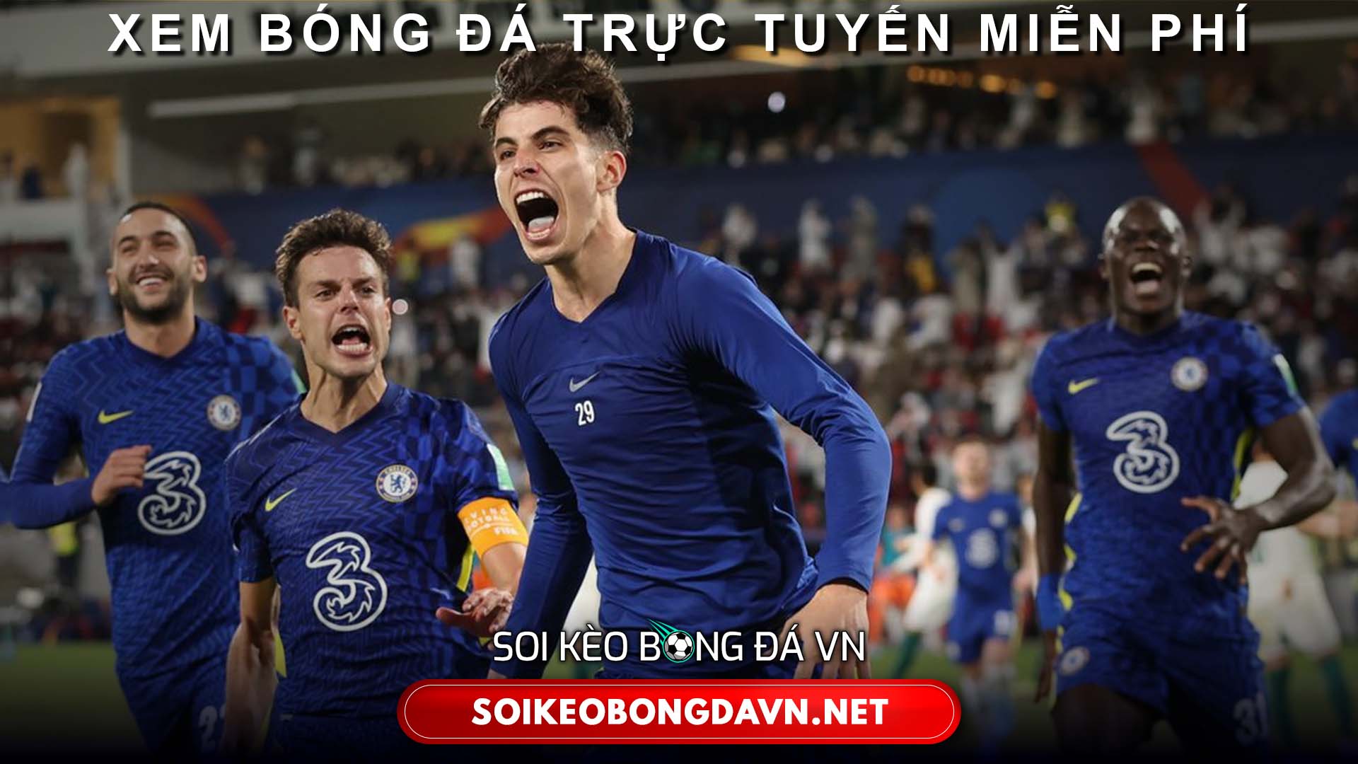 Trực tiếp World Cup 2022 hôm nay